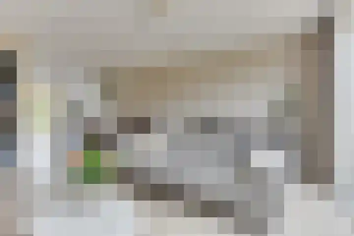 Pioenhof 24 Hensbroek thumbnail 13