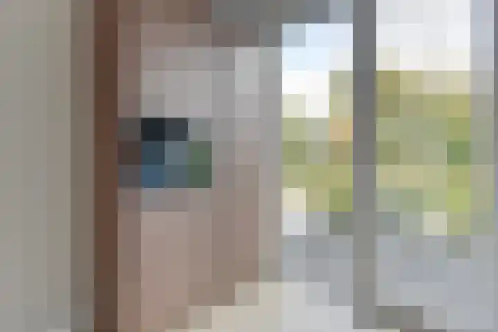 Pioenhof 24 Hensbroek thumbnail 18