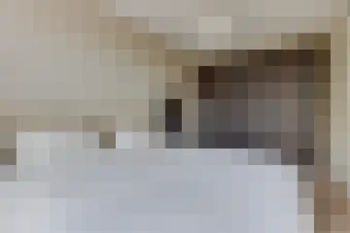 Pioenhof 24 Hensbroek thumbnail 26