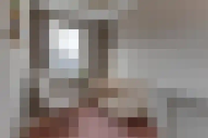 Pioenhof 24 Hensbroek thumbnail 30