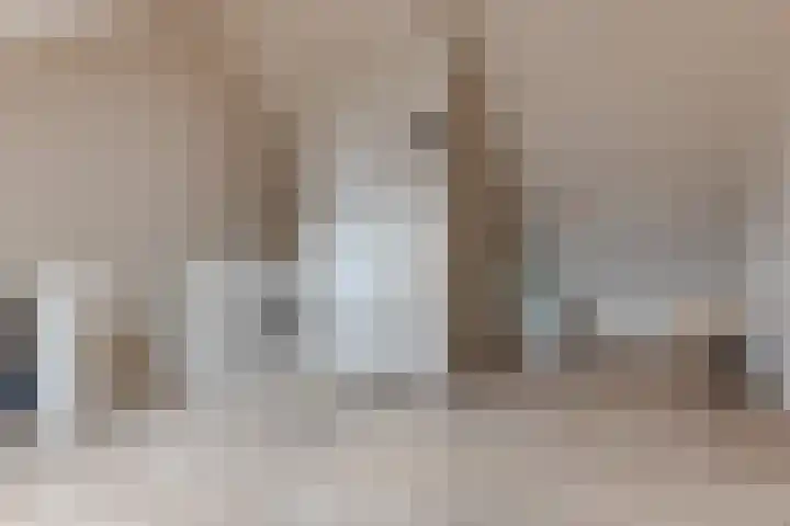 Pioenhof 24 Hensbroek thumbnail 32
