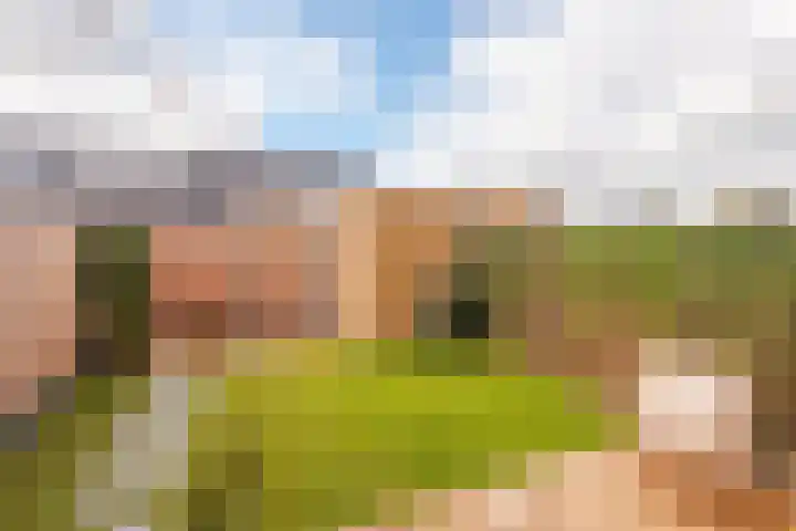 Pioenhof 24 Hensbroek thumbnail 34