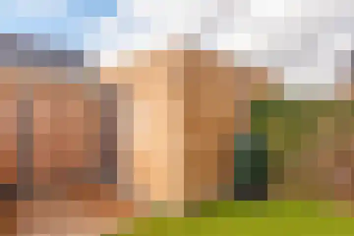 Pioenhof 24 Hensbroek thumbnail 36