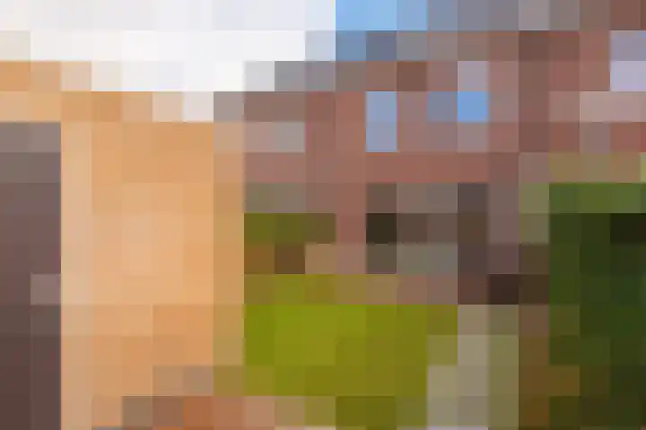 Pioenhof 24 Hensbroek thumbnail 37