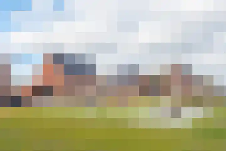 Pioenhof 24 Hensbroek thumbnail 41