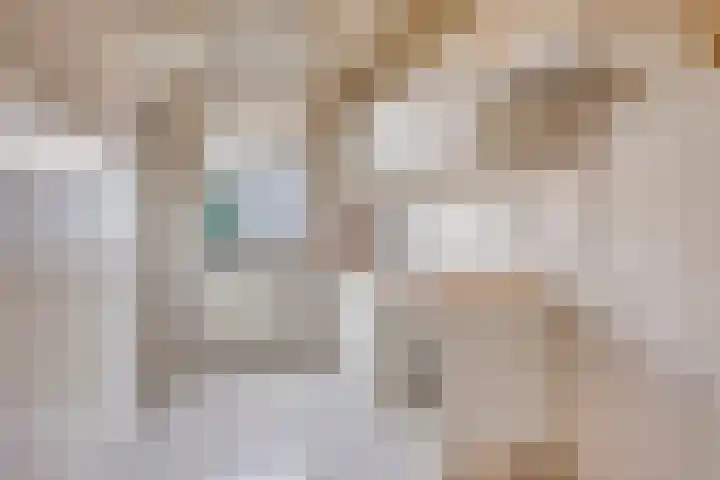 Pioenhof 5 Leiden thumbnail 4