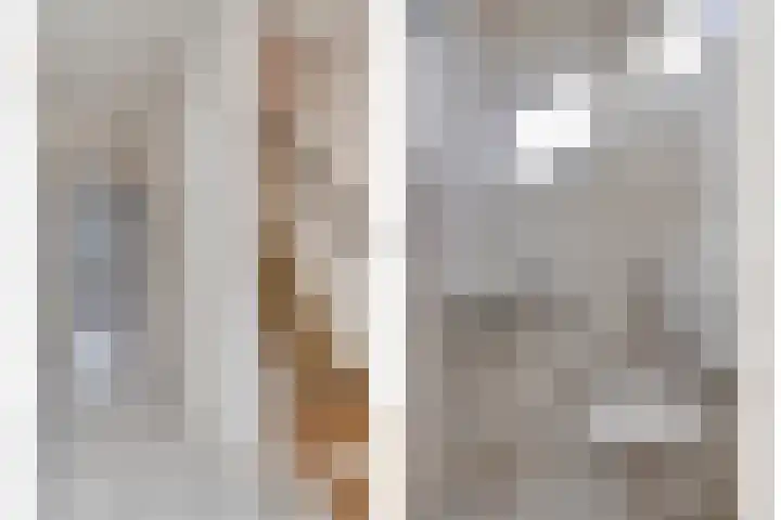 Pioenhof 5 Leiden thumbnail 9