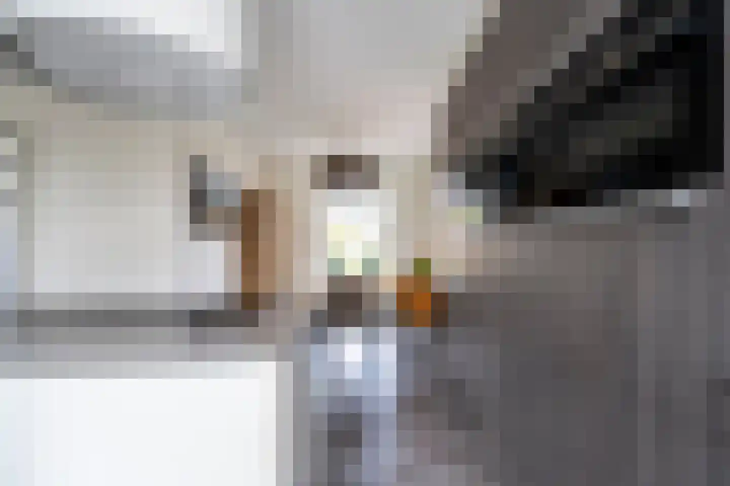 Pioenroos 1 Voorhout thumbnail 11