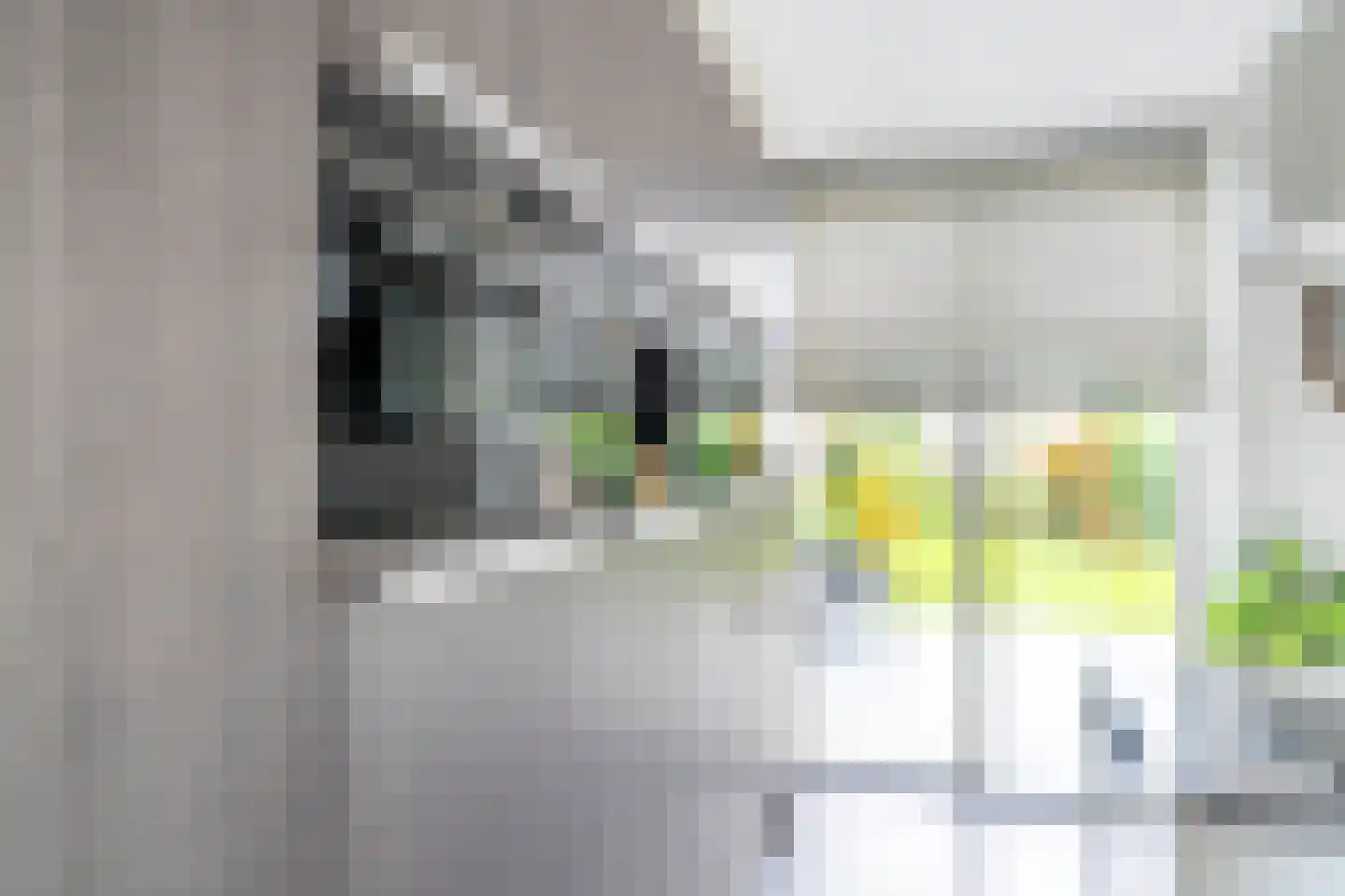 Pioenroos 1 Voorhout thumbnail 12
