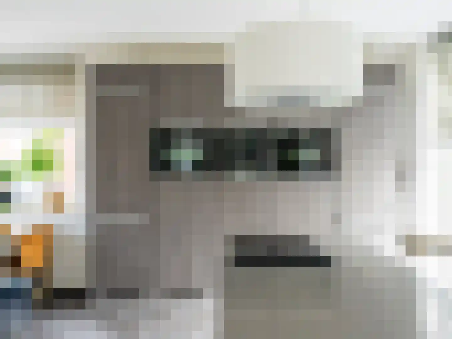 Pioenroos 1 Voorhout thumbnail 15