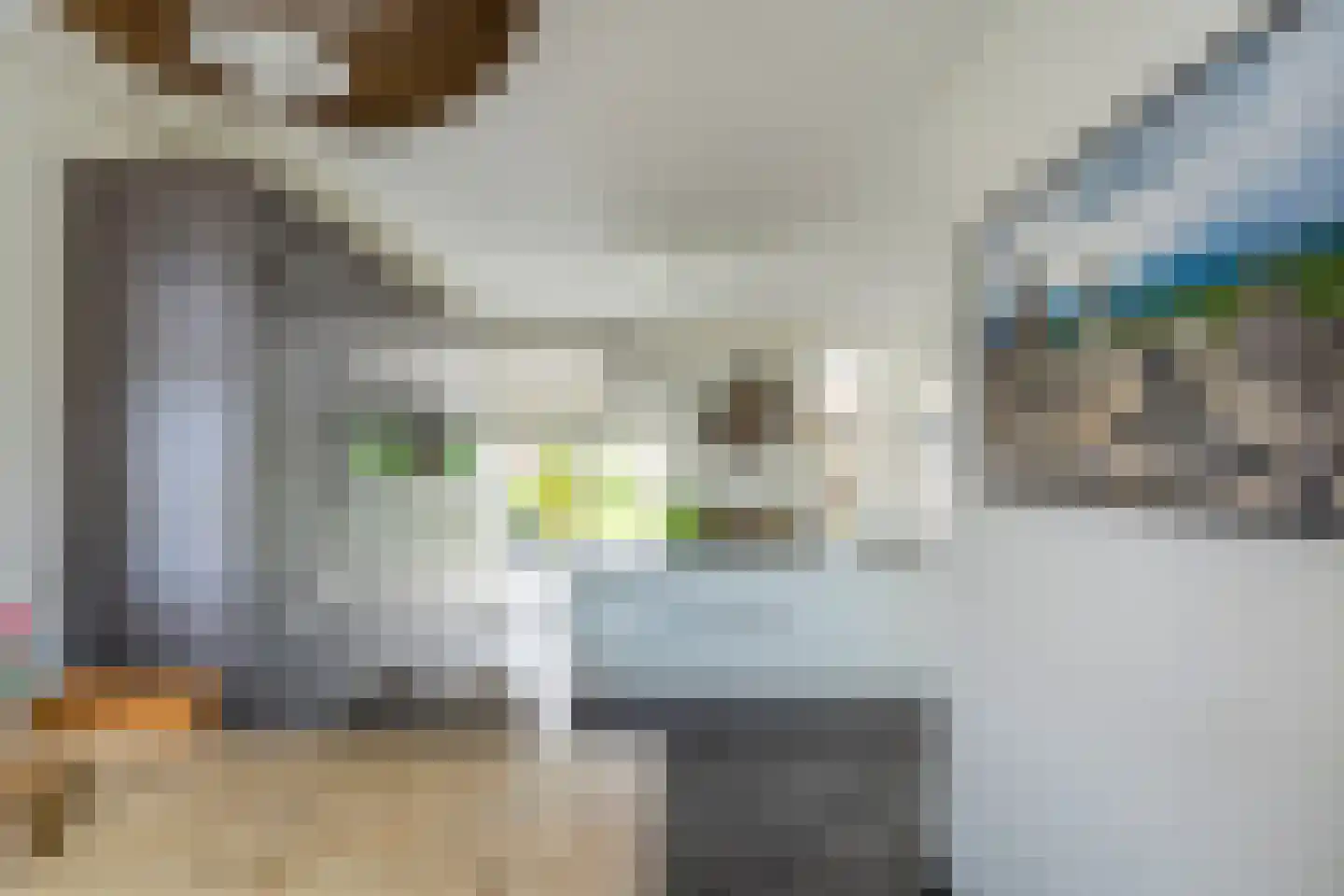 Pioenroos 1 Voorhout thumbnail 17
