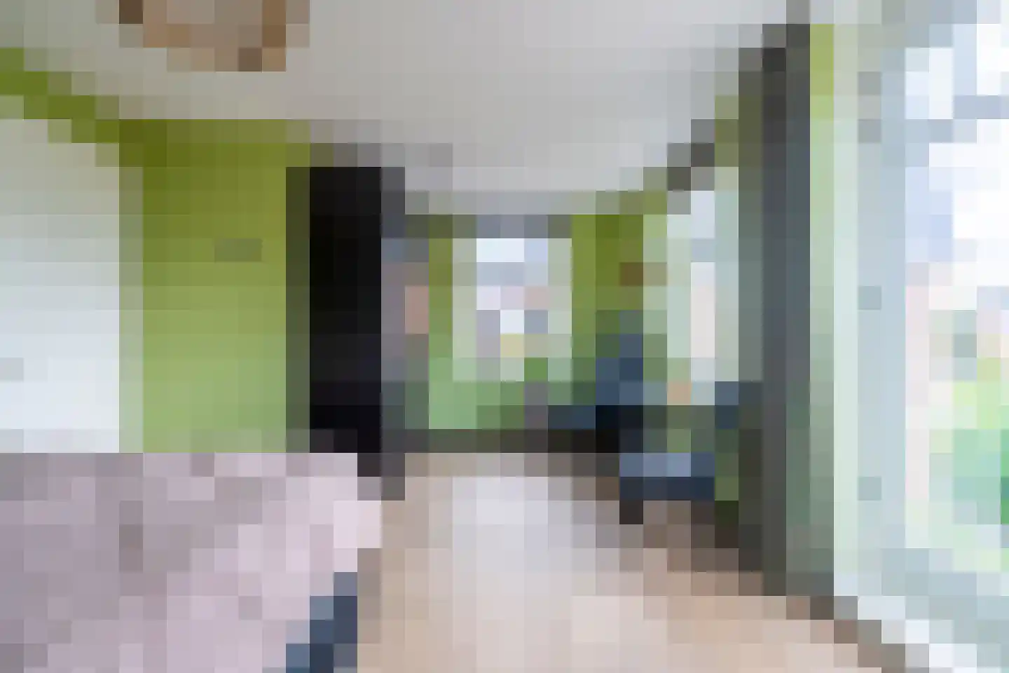 Pioenroos 1 Voorhout thumbnail 26