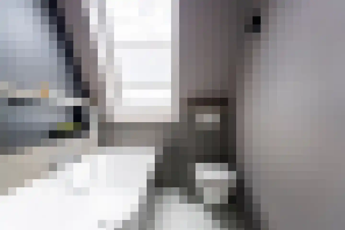 Pioenroos 1 Voorhout thumbnail 29