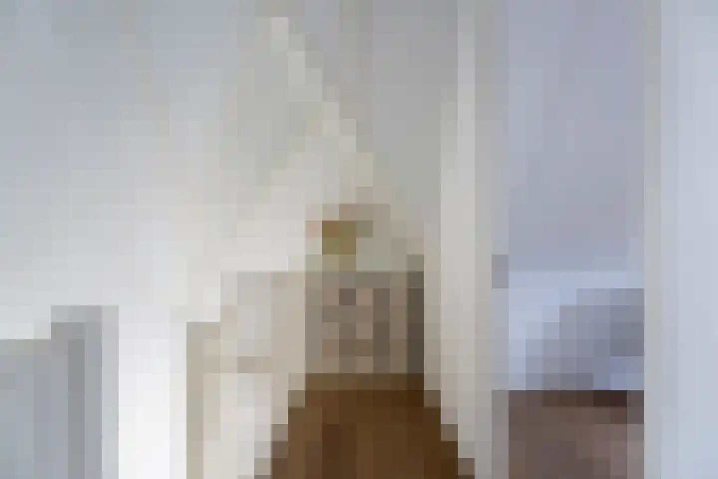 Pioenroos 1 Voorhout thumbnail 33
