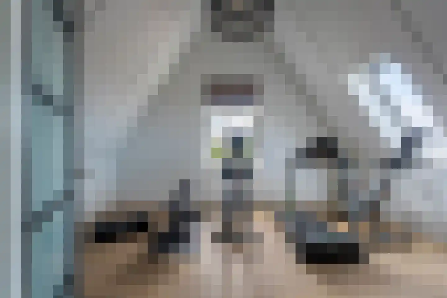 Pioenroos 1 Voorhout thumbnail 35