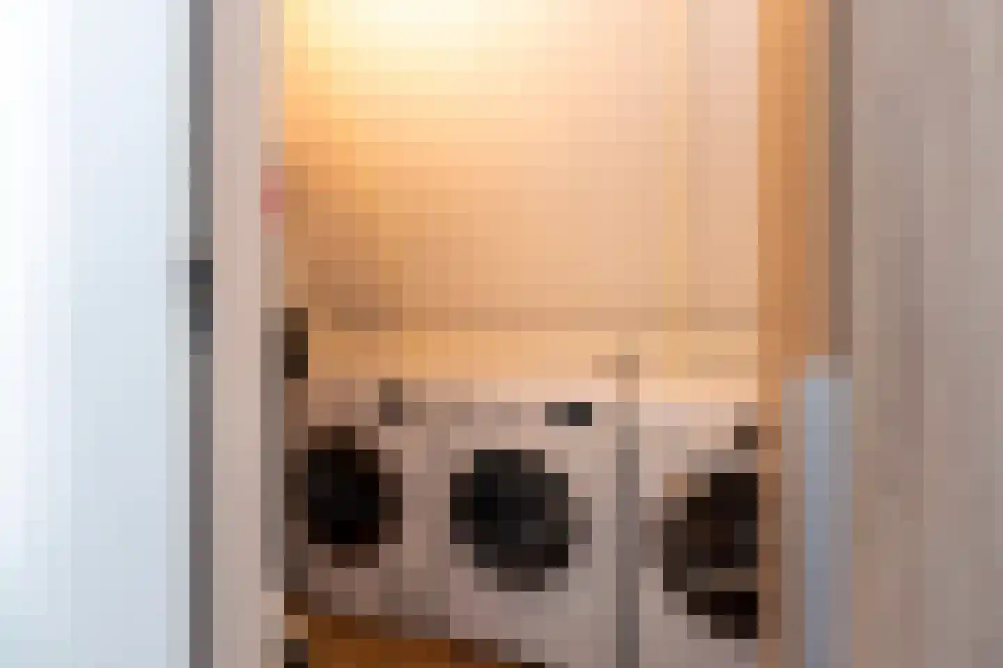 Pioenroos 1 Voorhout thumbnail 40