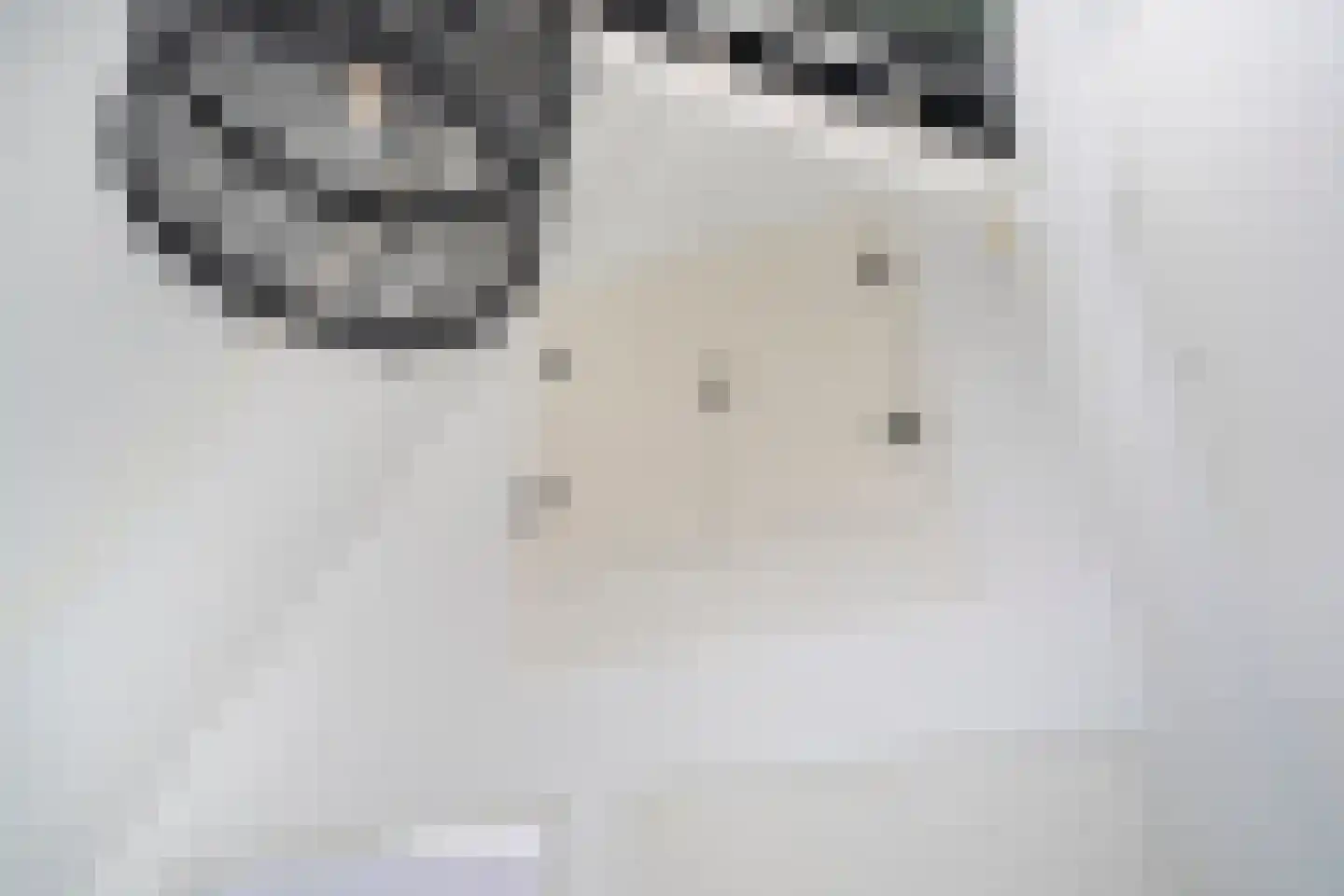 Pioenroos 1 Voorhout thumbnail 44
