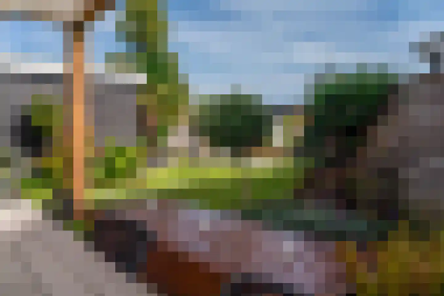 Pioenroos 1 Voorhout thumbnail 49