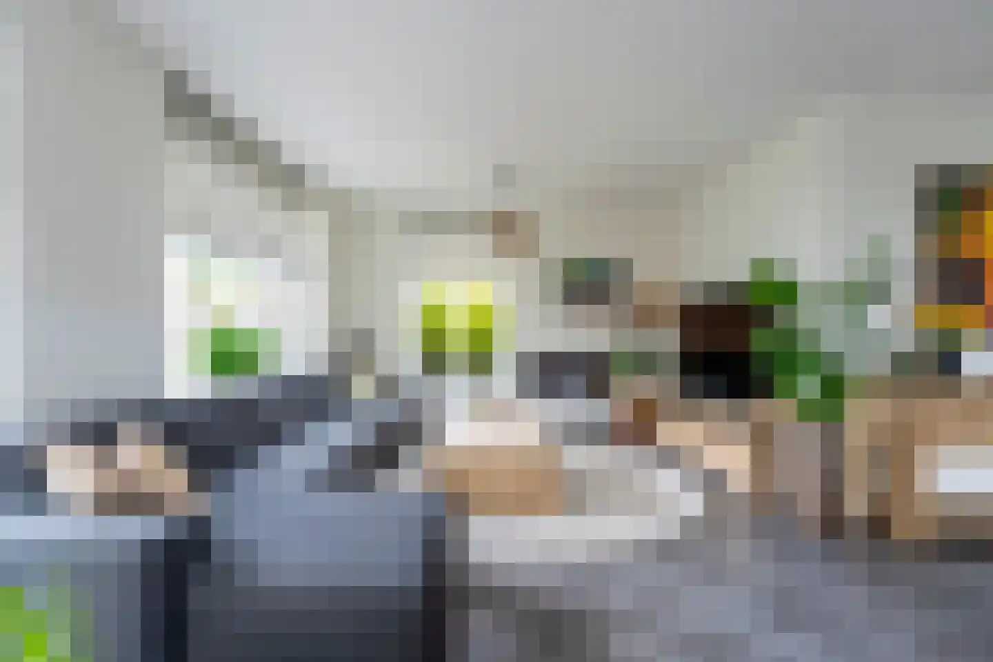 Pioenroos 1 Voorhout thumbnail 5