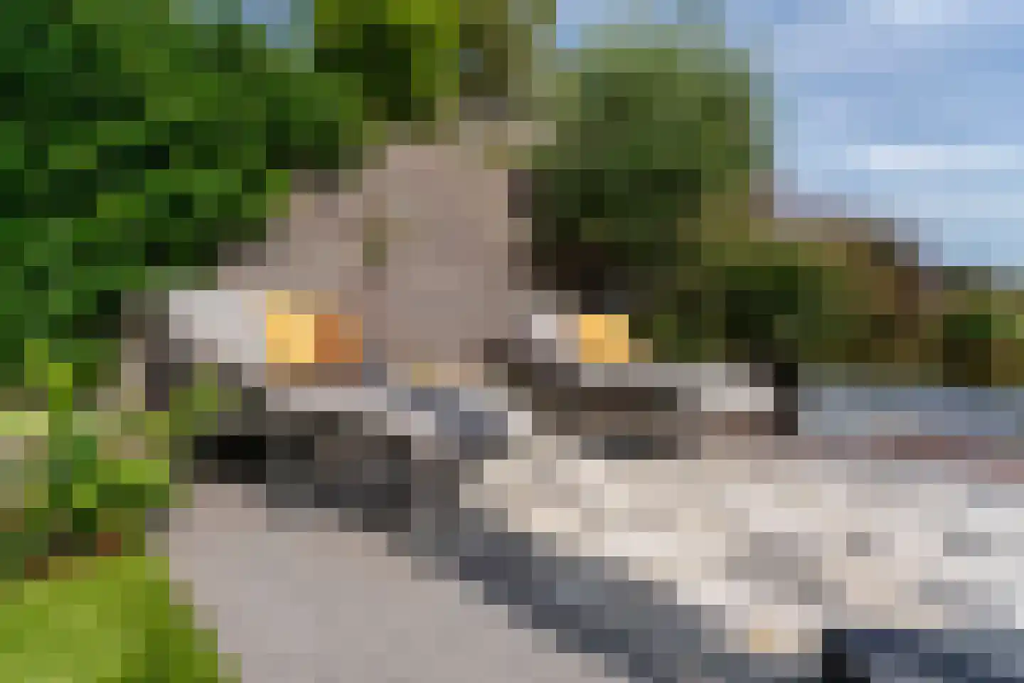 Pioenroos 1 Voorhout thumbnail 51