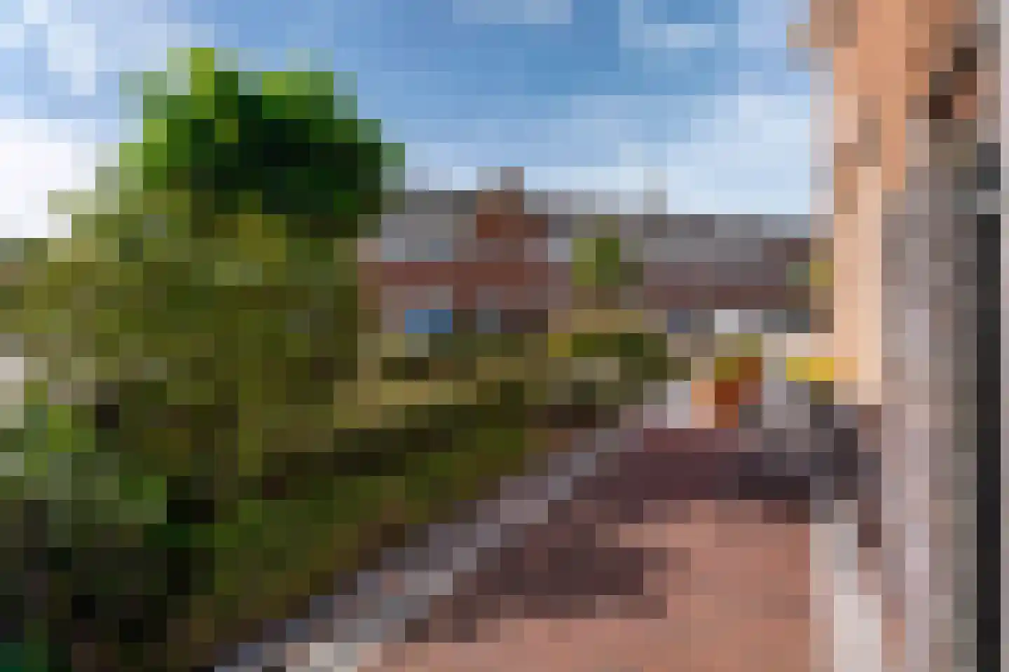 Pioenroos 1 Voorhout thumbnail 53