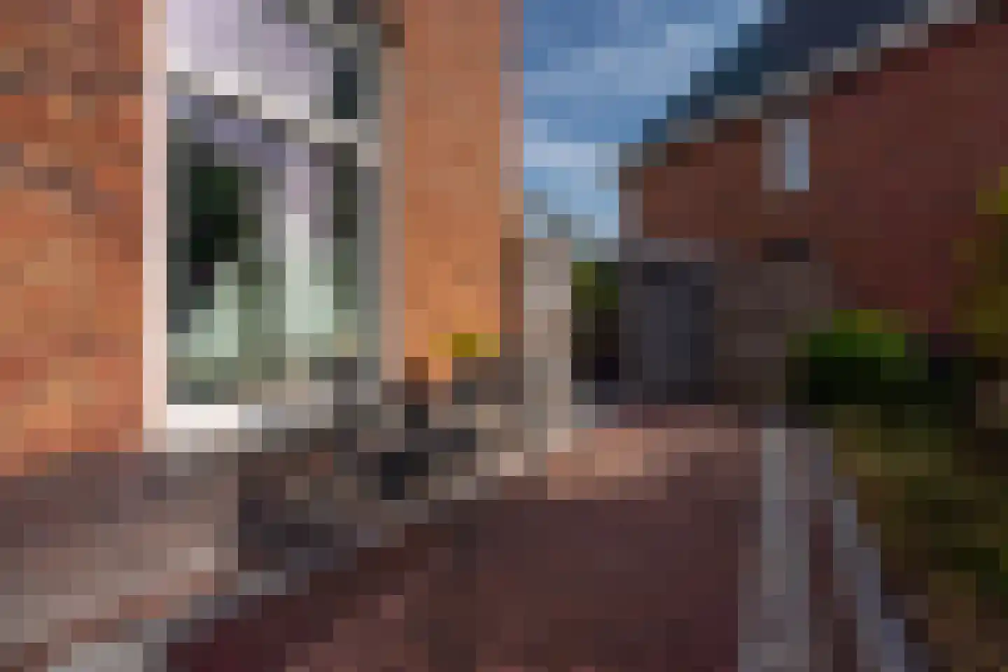 Pioenroos 1 Voorhout thumbnail 54