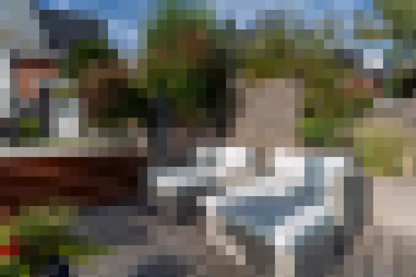 Pioenroos 1 Voorhout thumbnail 56