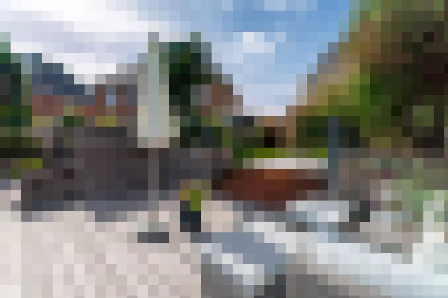 Pioenroos 1 Voorhout thumbnail 57