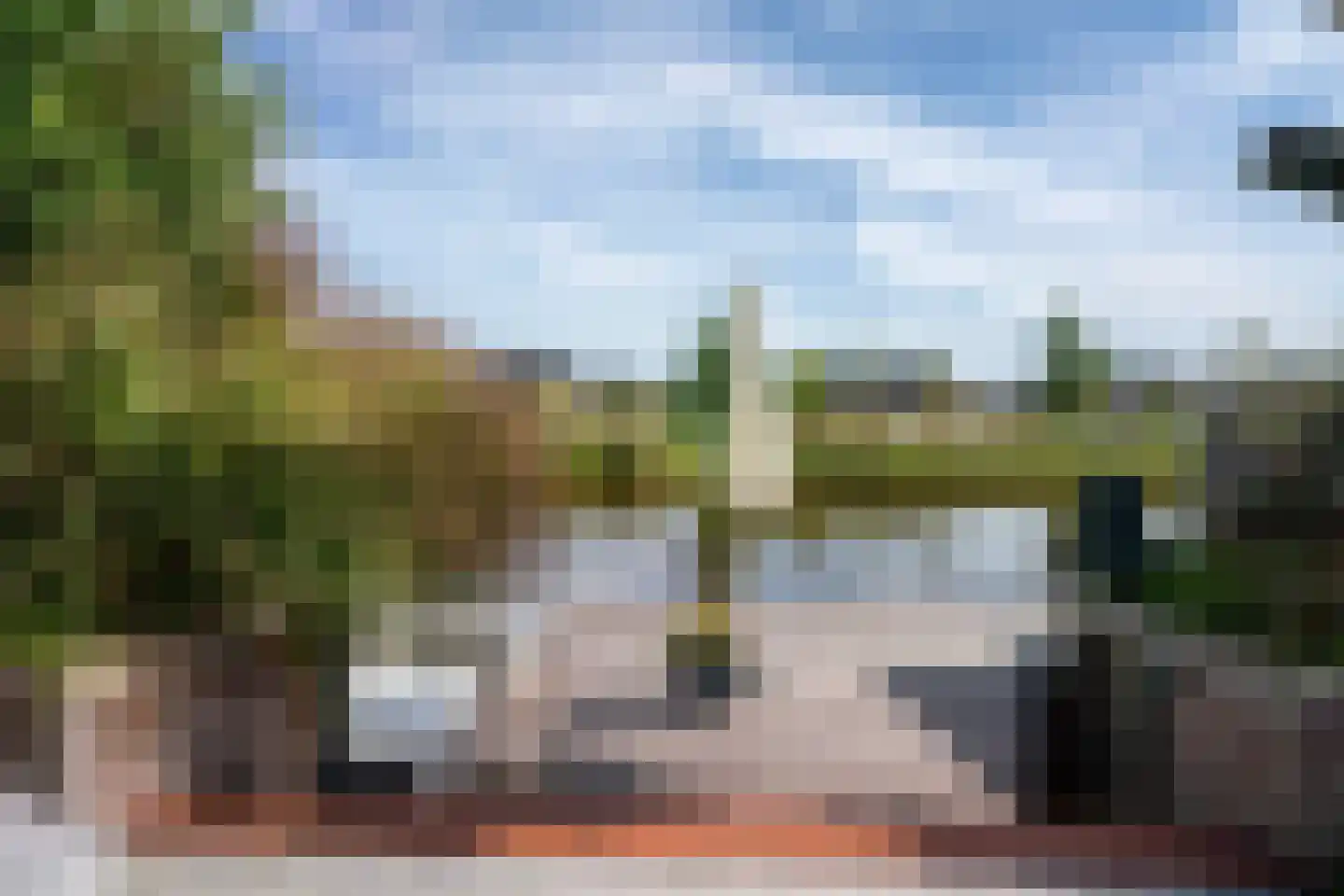 Pioenroos 1 Voorhout thumbnail 58