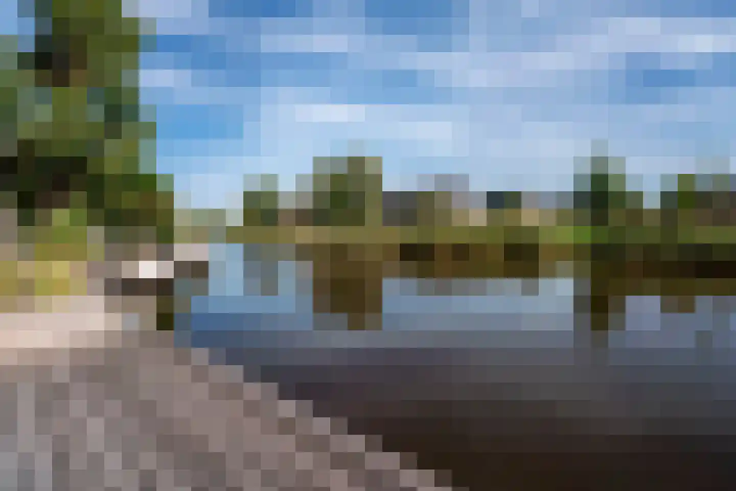 Pioenroos 1 Voorhout thumbnail 59