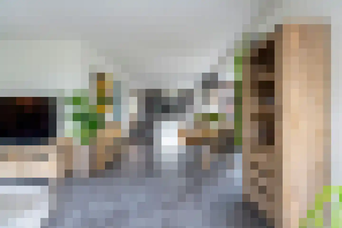Pioenroos 1 Voorhout thumbnail 6