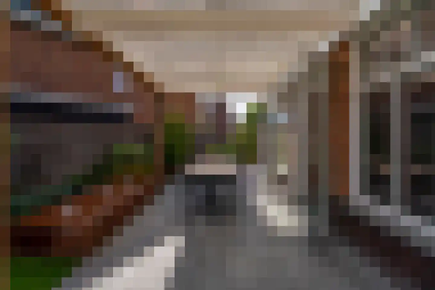 Pioenroos 1 Voorhout thumbnail 61