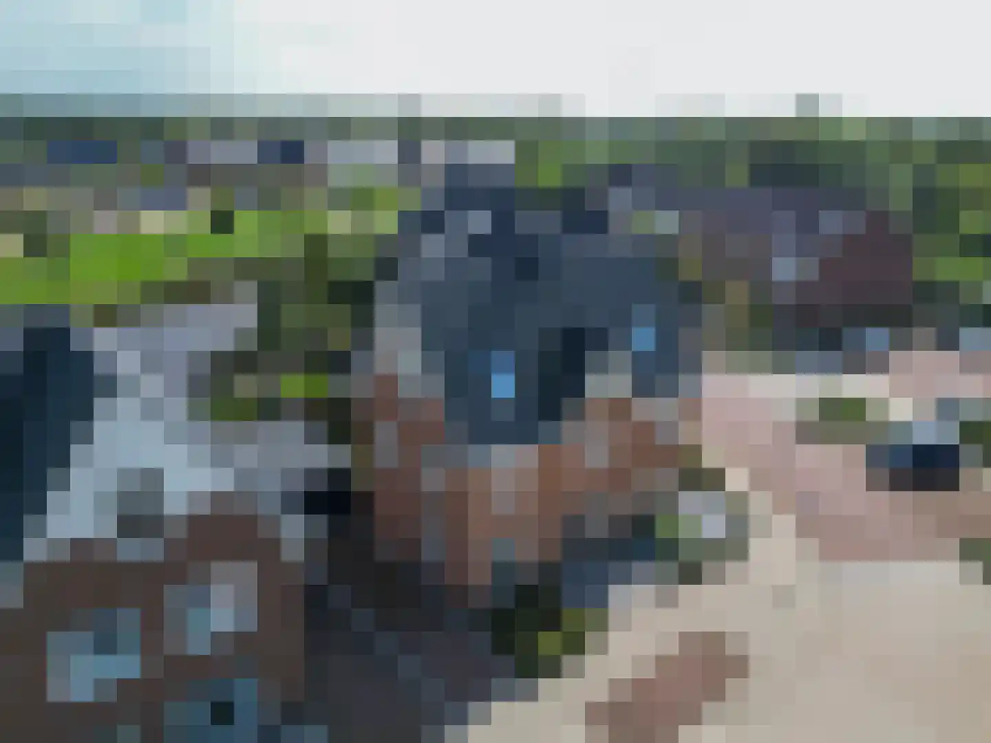 Pioenroos 1 Voorhout thumbnail 64