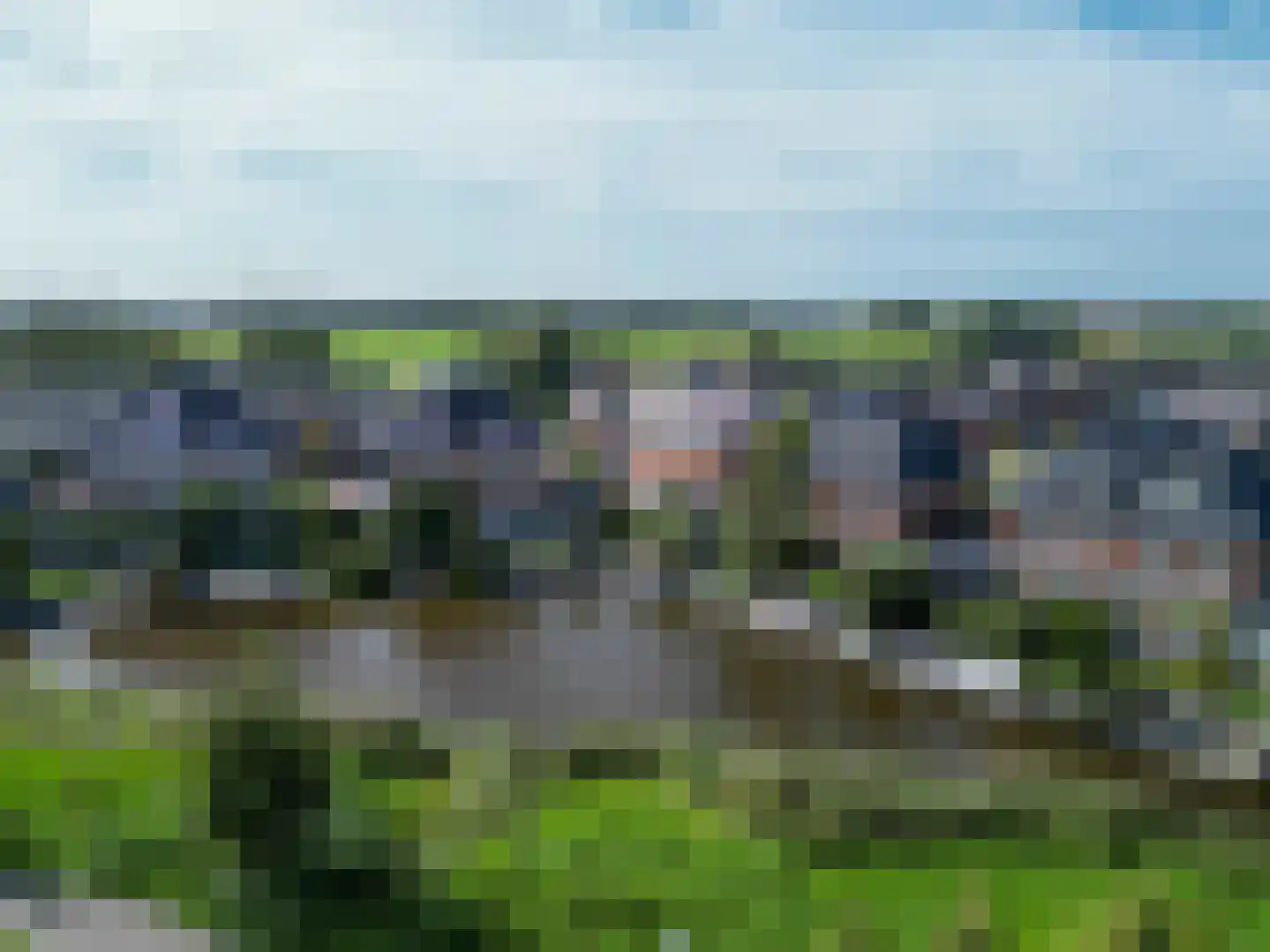 Pioenroos 1 Voorhout thumbnail 67