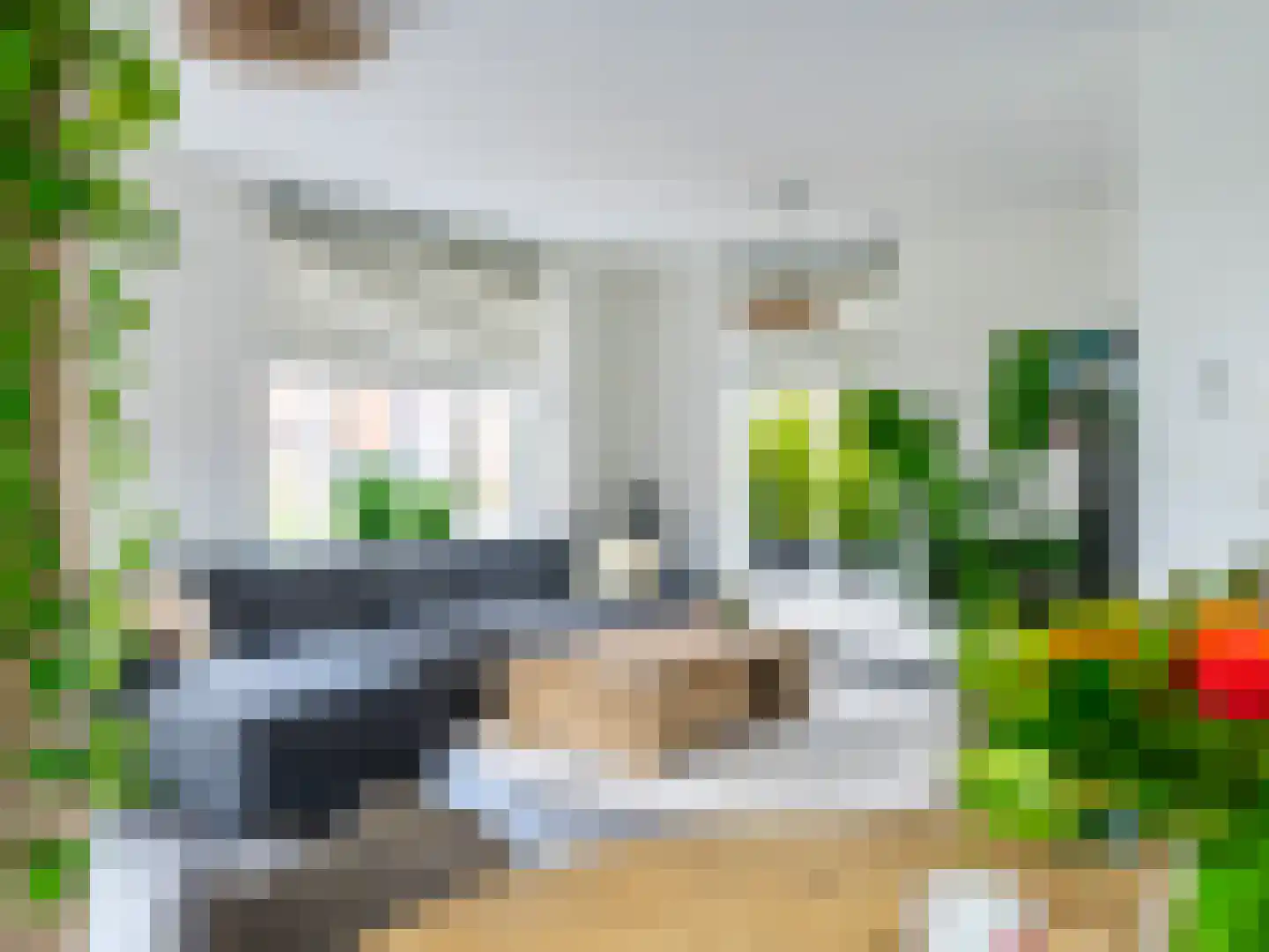 Pioenroos 1 Voorhout thumbnail 7
