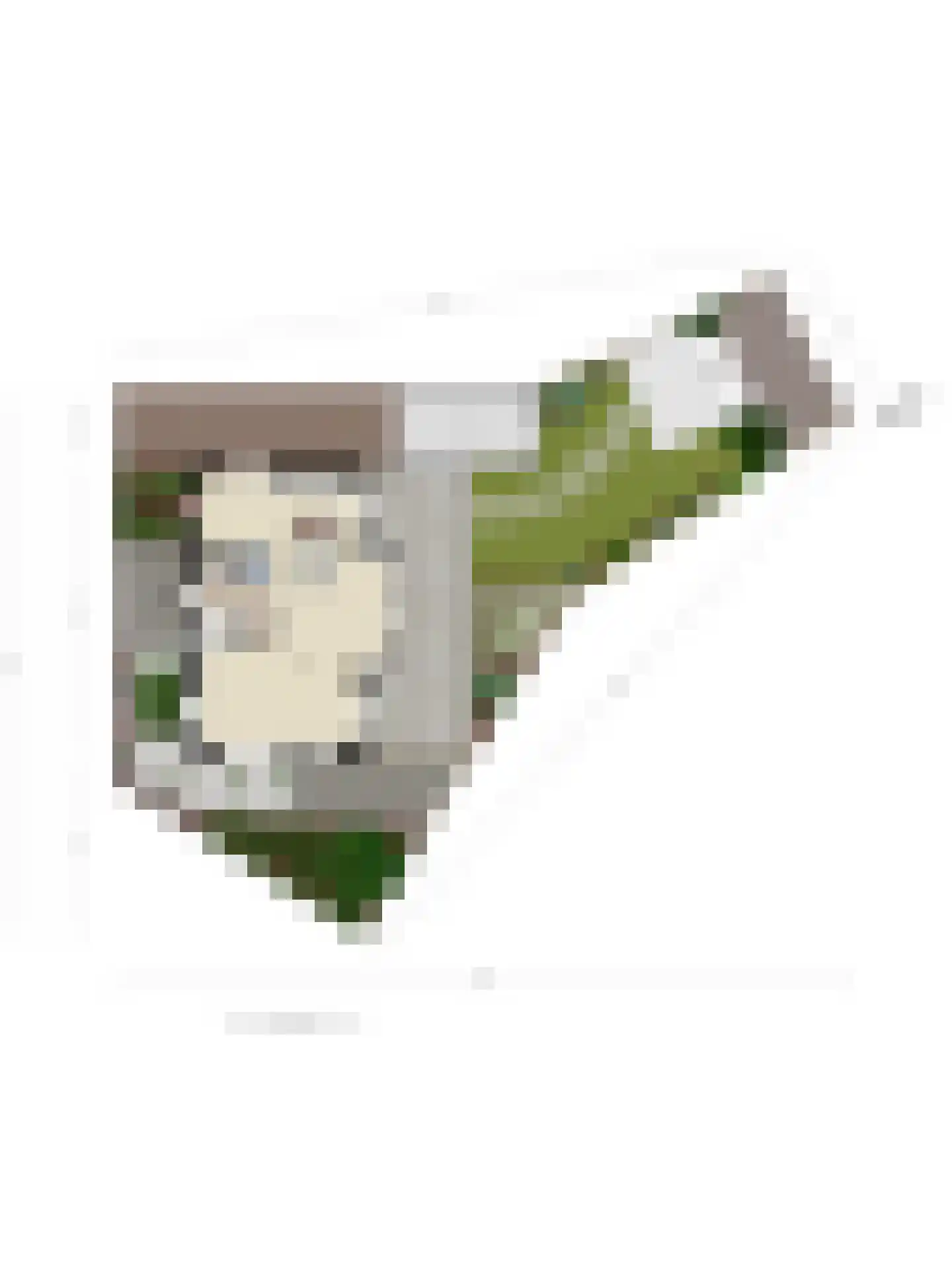 Pioenroos 1 Voorhout thumbnail 74