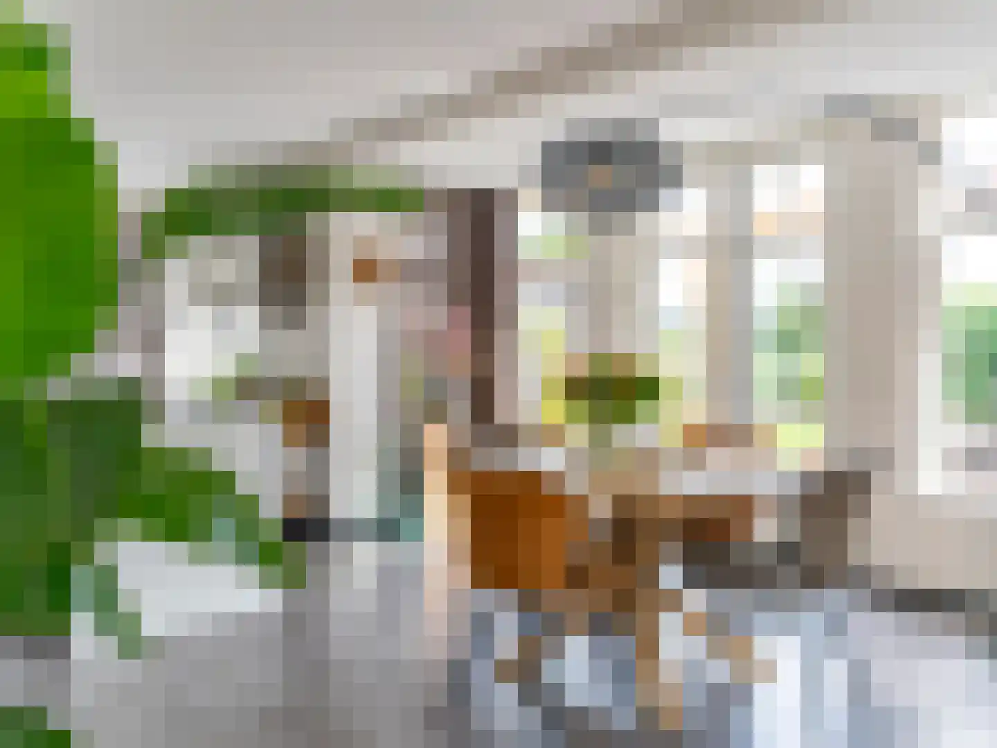 Pioenroos 1 Voorhout thumbnail 8