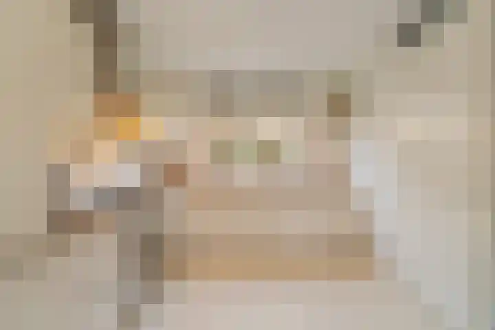 Pioenroos 18 Waddinxveen thumbnail 11