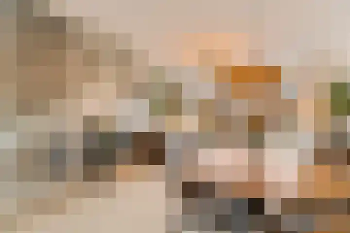 Pioenroos 18 Waddinxveen thumbnail 12