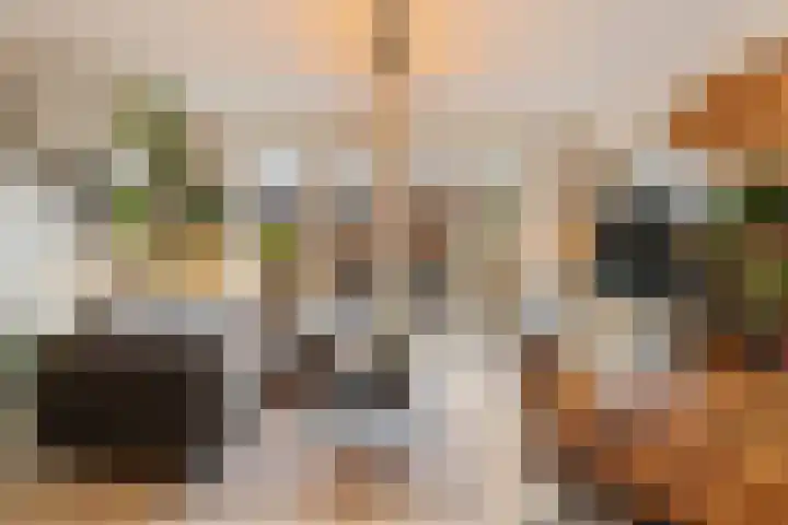 Pioenroos 18 Waddinxveen thumbnail 13