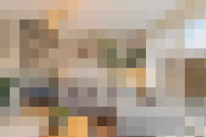 Pioenroos 18 Waddinxveen thumbnail 15