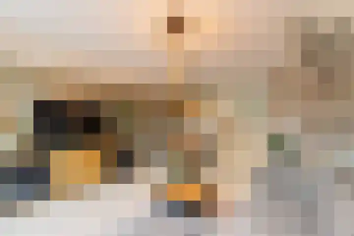 Pioenroos 18 Waddinxveen thumbnail 17