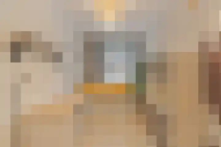 Pioenroos 18 Waddinxveen thumbnail 22