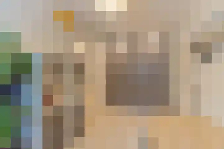 Pioenroos 18 Waddinxveen thumbnail 23