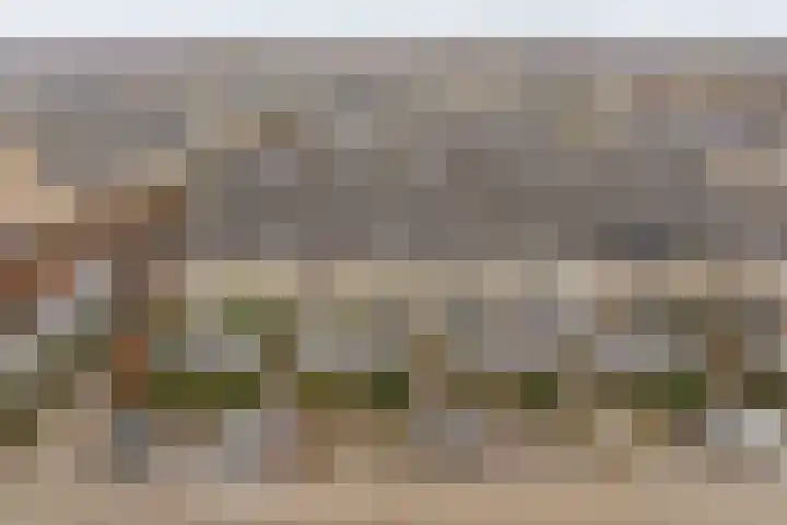Pioenroos 18 Waddinxveen thumbnail 33