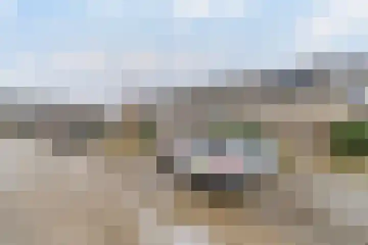 Pioenroos 18 Waddinxveen thumbnail 34