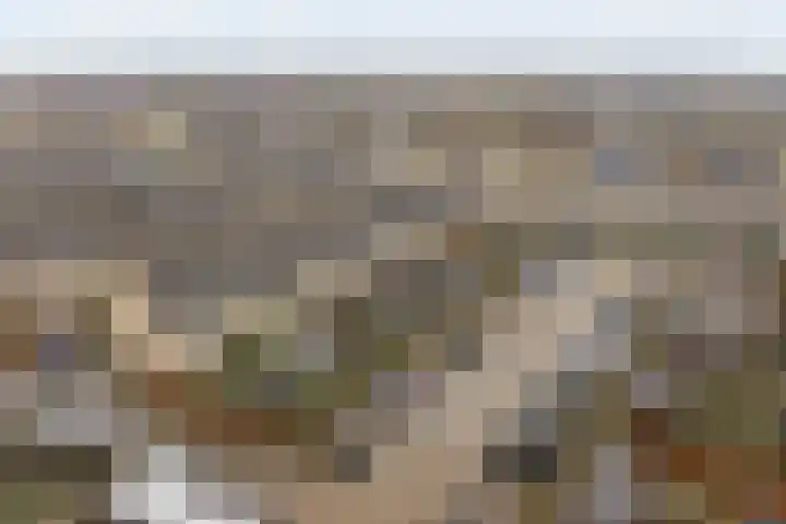 Pioenroos 18 Waddinxveen thumbnail 35