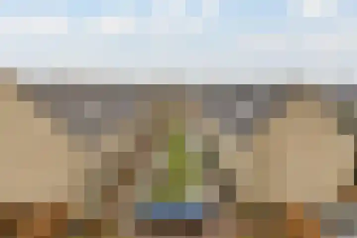 Pioenroos 18 Waddinxveen thumbnail 36