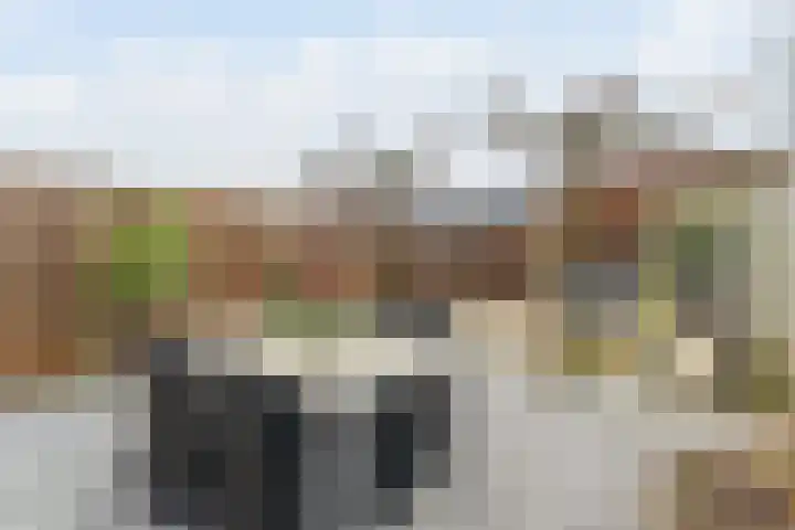 Pioenroos 18 Waddinxveen thumbnail 4