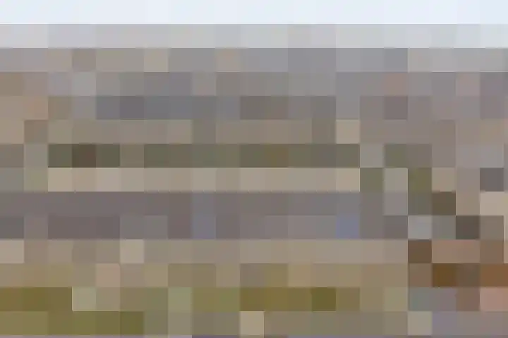 Pioenroos 18 Waddinxveen thumbnail 6